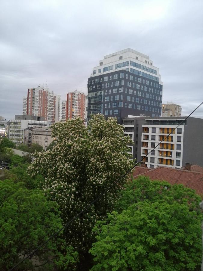 Appartement Caviar à Belgrade Extérieur photo